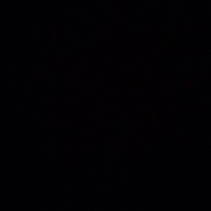 Meet your Posher, Trae